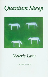 Valerie Laws, Quantum Sheep